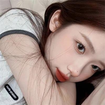 宝可梦礼宾部第二季